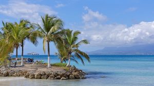 Lire la suite à propos de l’article Avantages de la location d’une voiture pour vos vacances en Guadeloupe